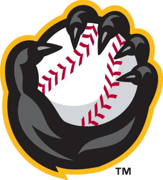 Quad Cities River Bandits 2014-Pres Alternate Logo decal supplier